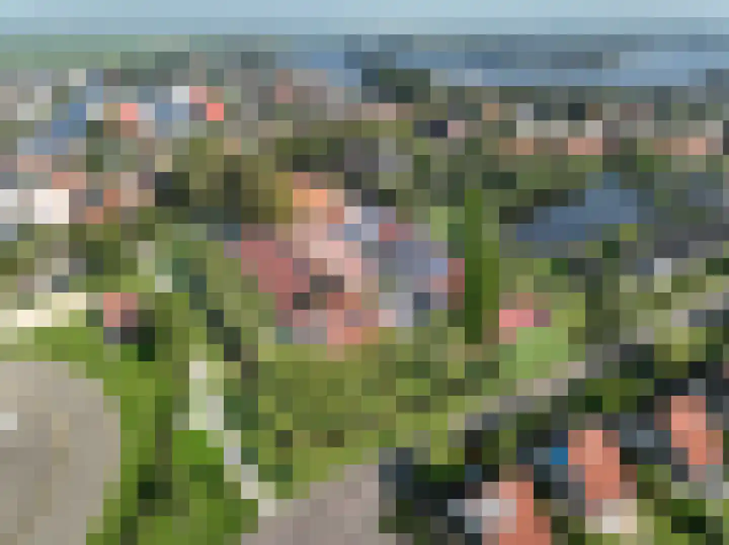 Koailân 5 Terherne foto 2