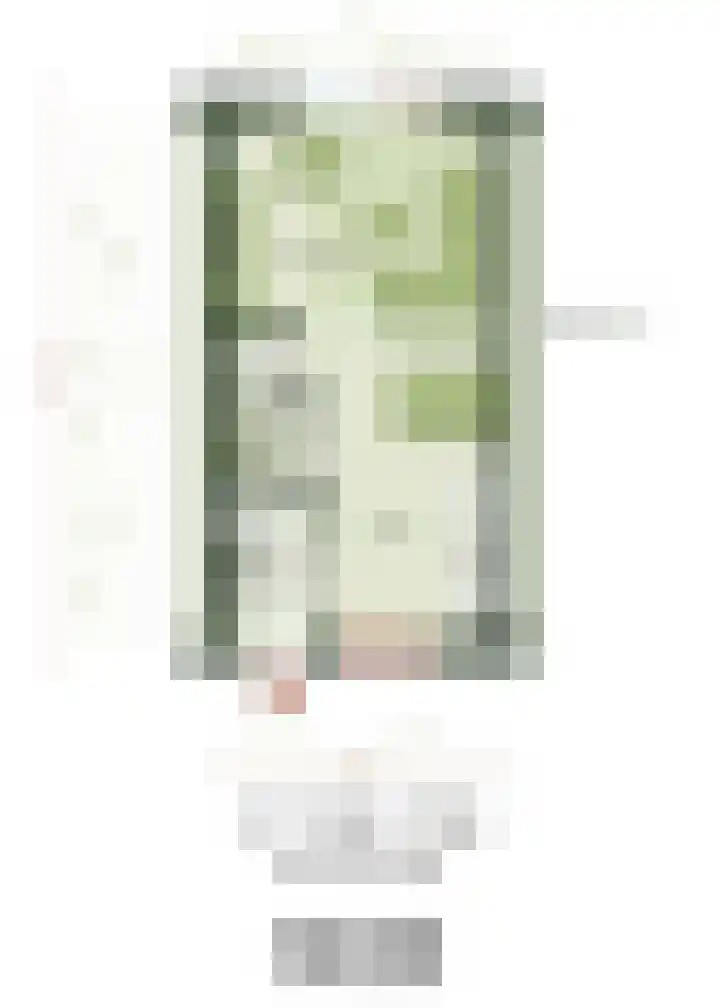 Koailân 9 Terherne foto 3