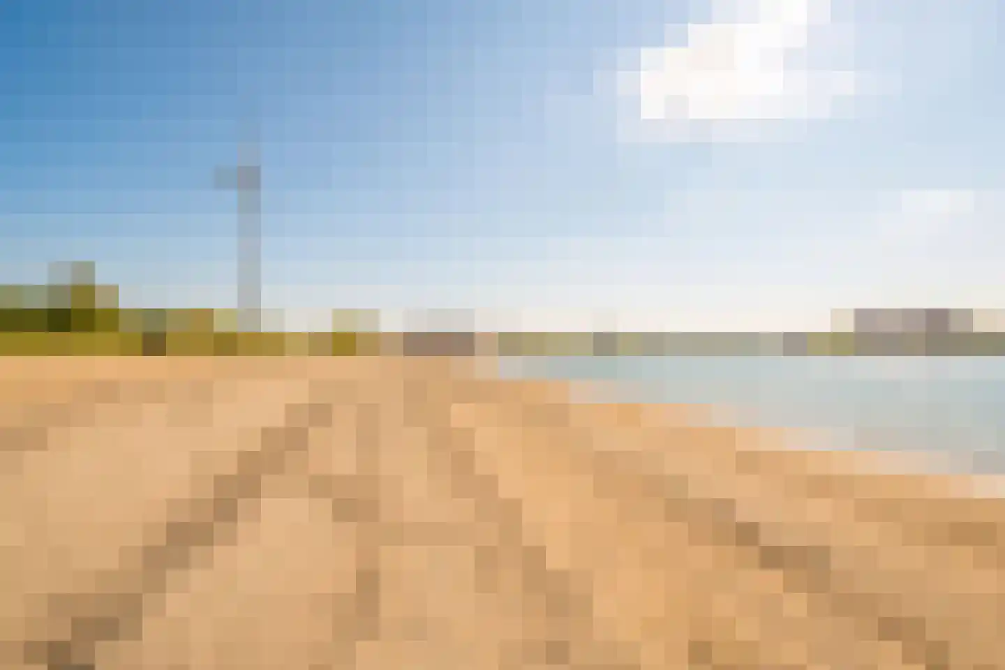 Koala 6 Heerhugowaard thumbnail 43