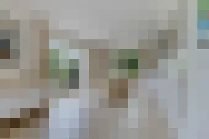 Koarnleane 11 Nijland thumbnail 10