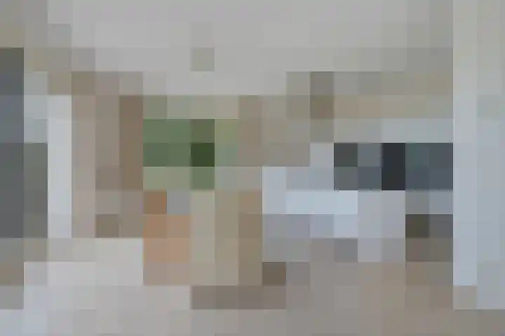 Koarnleane 11 Nijland thumbnail 11