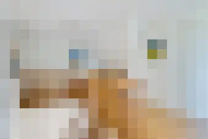 Koarnleane 11 Nijland thumbnail 18