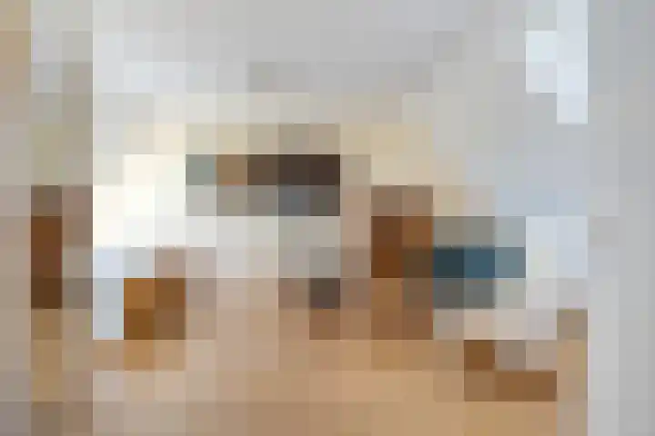 Koarnleane 11 Nijland thumbnail 21