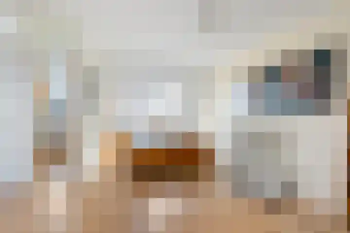 Koarnleane 11 Nijland thumbnail 23