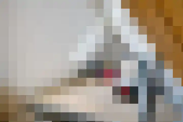 Koarnleane 11 Nijland thumbnail 31