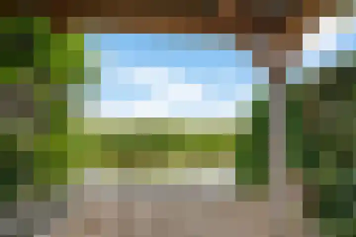 Koarnleane 11 Nijland thumbnail 33