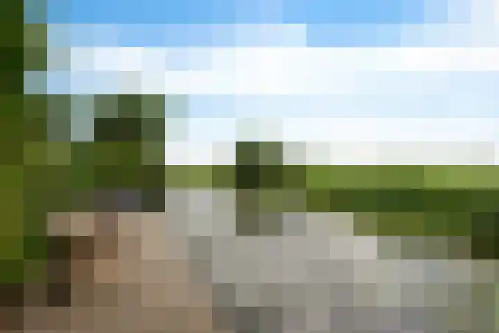 Koarnleane 11 Nijland thumbnail 34