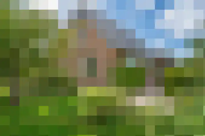 Koarnleane 11 Nijland thumbnail 36