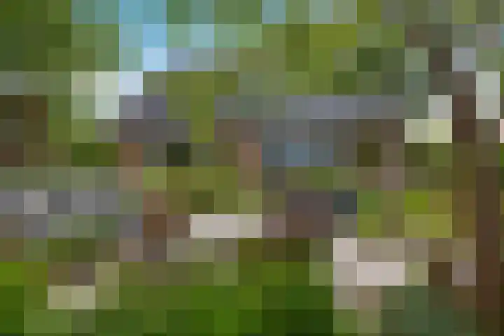 Koarnleane 11 Nijland thumbnail 37