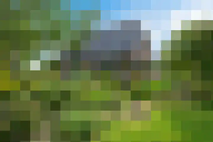 Koarnleane 11 Nijland thumbnail 38