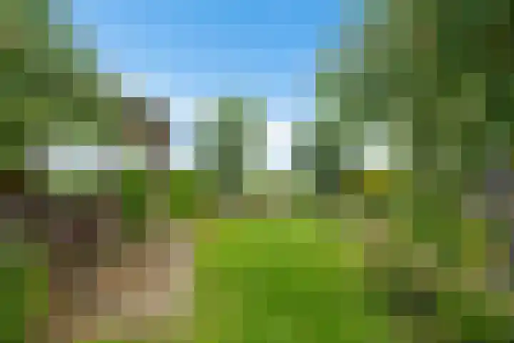 Koarnleane 11 Nijland thumbnail 39
