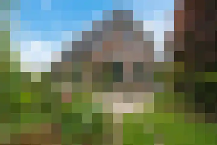 Koarnleane 11 Nijland thumbnail 40