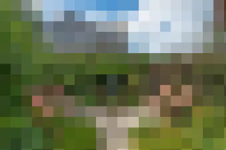 Koarnleane 11 Nijland thumbnail 41