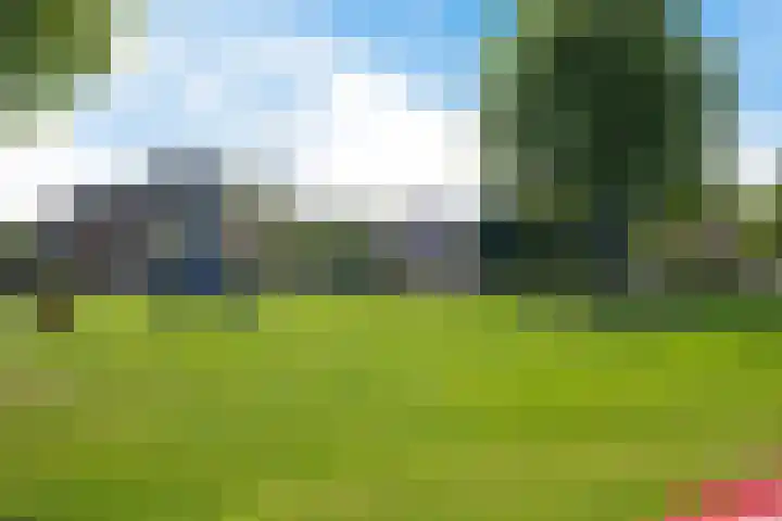 Koarnleane 11 Nijland thumbnail 42