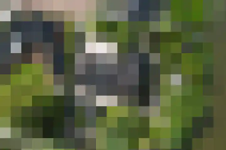 Koarnleane 11 Nijland thumbnail 47