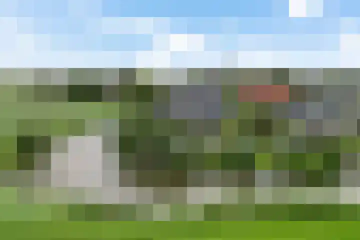 Koarnleane 11 Nijland thumbnail 50