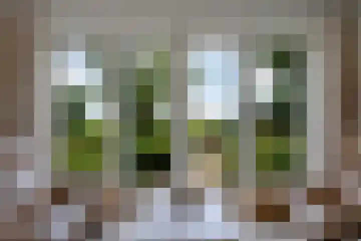 Koarnleane 11 Nijland thumbnail 9