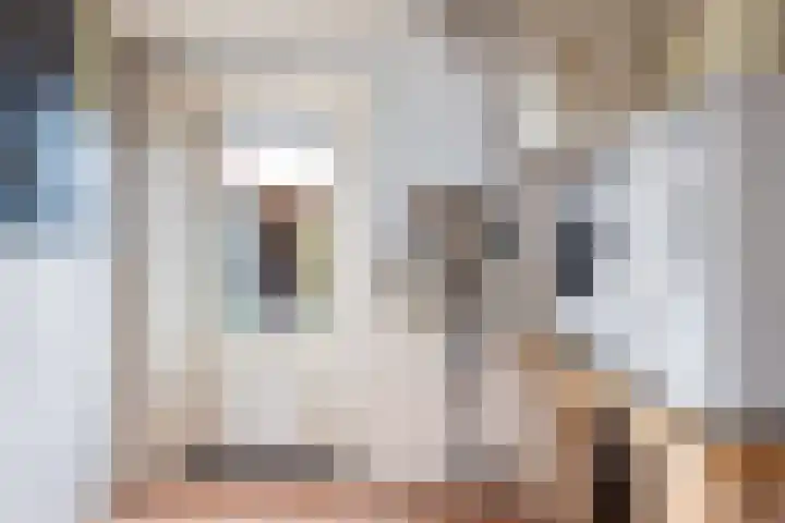 Koarnleane 22 Nijland thumbnail 17