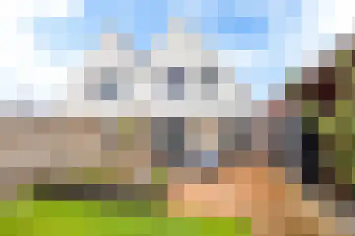 Koarnleane 22 Nijland thumbnail 18