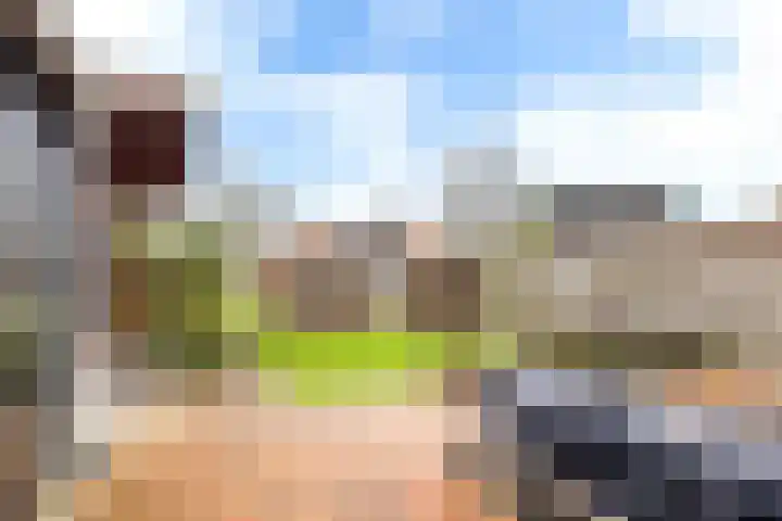 Koarnleane 22 Nijland thumbnail 20