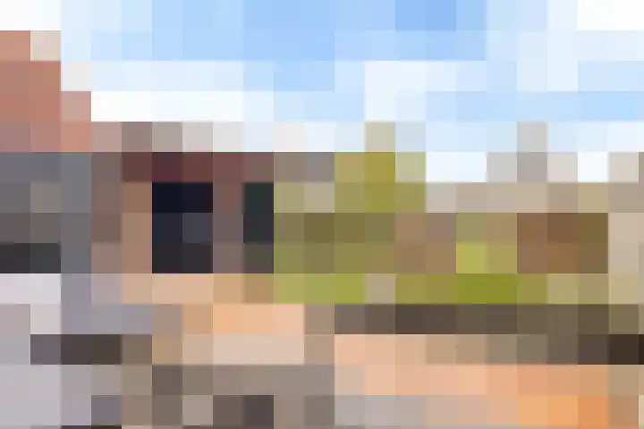 Koarnleane 22 Nijland thumbnail 21