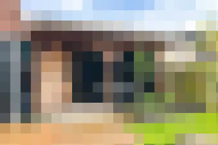 Koarnleane 22 Nijland thumbnail 22