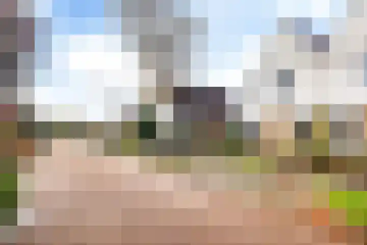 Koarnleane 22 Nijland thumbnail 4