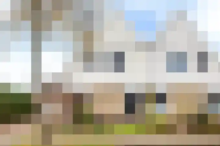 Koarnleane 22 Nijland thumbnail 5