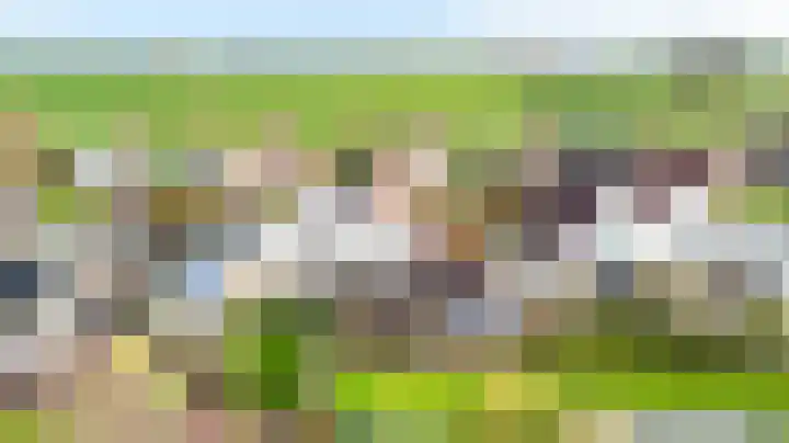 Koarnleane 22 Nijland thumbnail 53