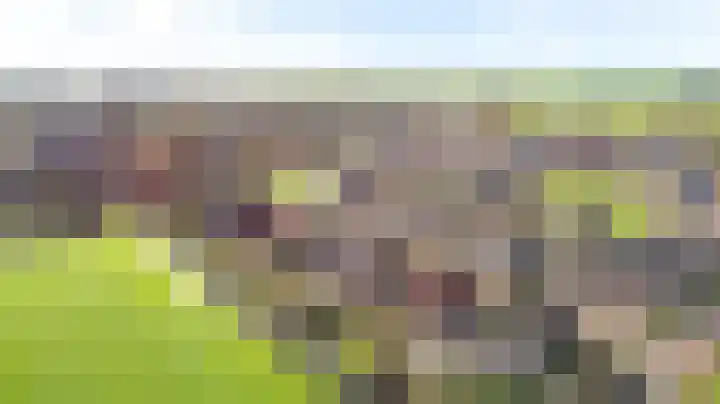 Koarnleane 22 Nijland thumbnail 56