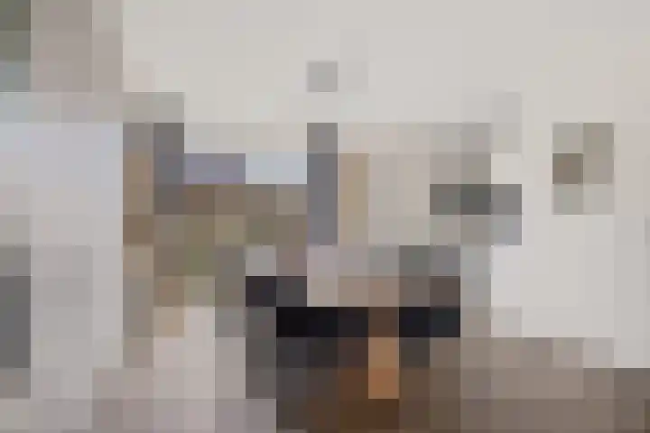 Koarstmoas 4 Surhuisterveen thumbnail 10