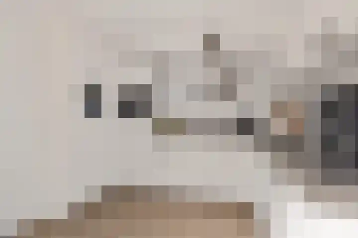 Koarstmoas 4 Surhuisterveen thumbnail 11