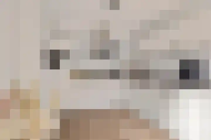 Koarstmoas 4 Surhuisterveen thumbnail 12