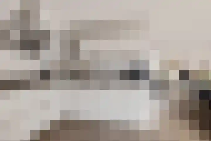 Koarstmoas 4 Surhuisterveen thumbnail 13