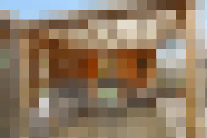 Koarstmoas 4 Surhuisterveen thumbnail 37