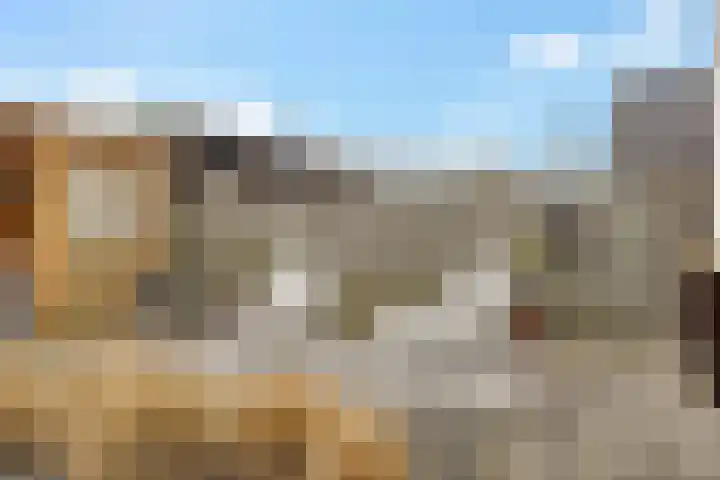 Koarstmoas 4 Surhuisterveen thumbnail 38