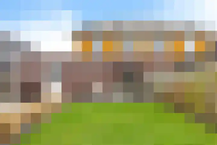 Koarstmoas 4 Surhuisterveen thumbnail 39