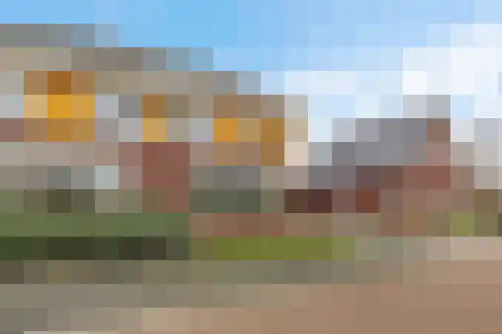 Koarstmoas 4 Surhuisterveen thumbnail 42