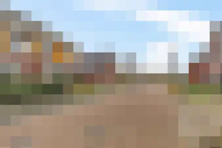 Koarstmoas 4 Surhuisterveen thumbnail 43