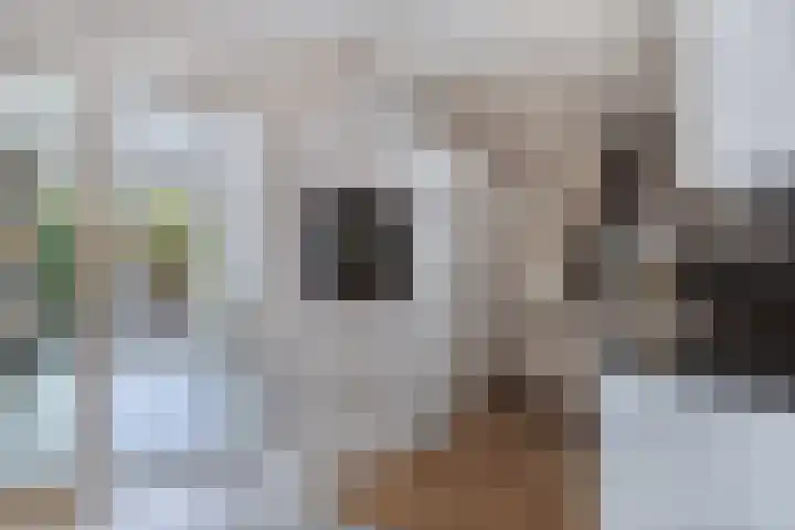 Koarstmoas 9 A Surhuisterveen thumbnail 13