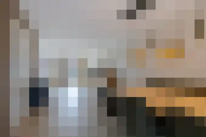 Koarstmoas 9 A Surhuisterveen thumbnail 14