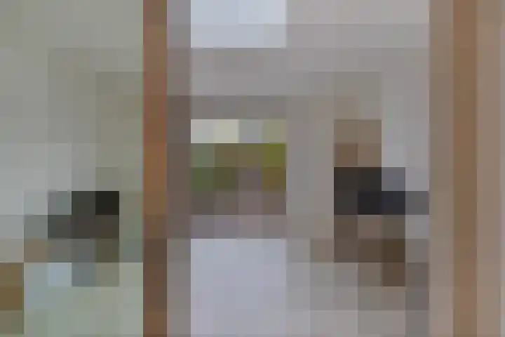 Koarstmoas 9 A Surhuisterveen thumbnail 15