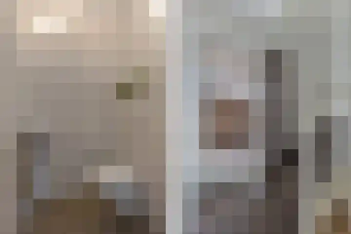 Koarstmoas 9 A Surhuisterveen thumbnail 18