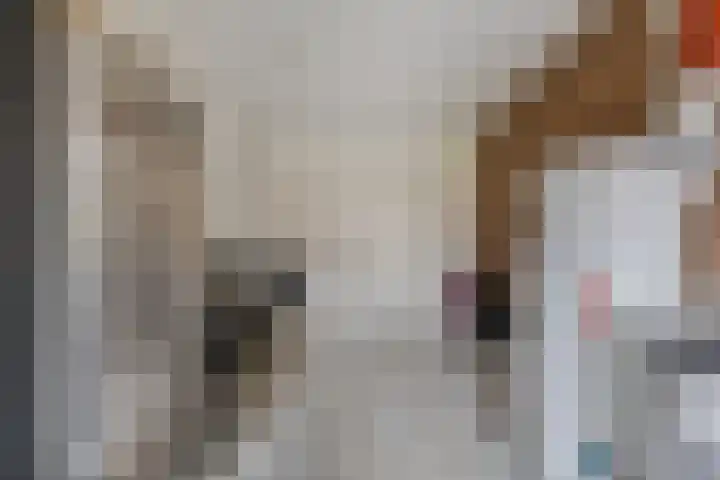 Koarstmoas 9 A Surhuisterveen thumbnail 19