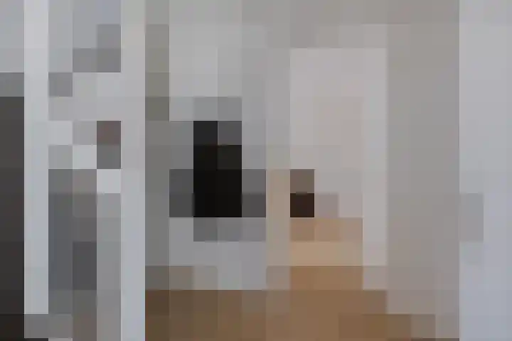 Koarstmoas 9 A Surhuisterveen thumbnail 21