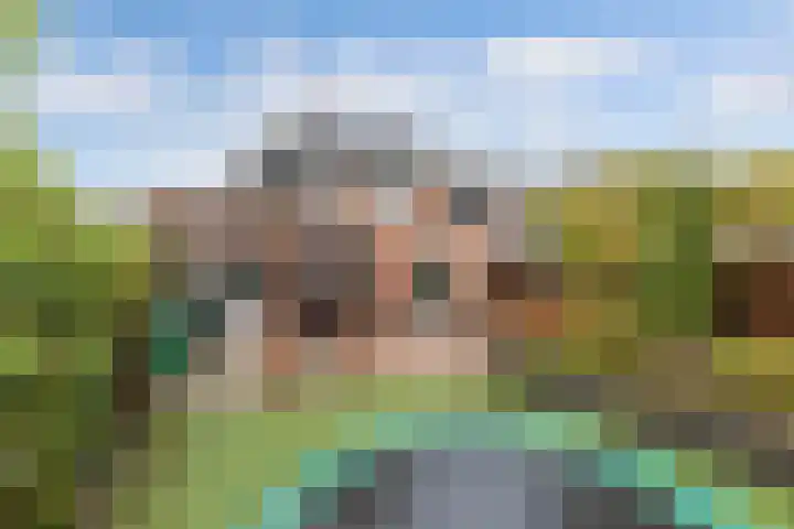 Koarstmoas 9 A Surhuisterveen thumbnail 43