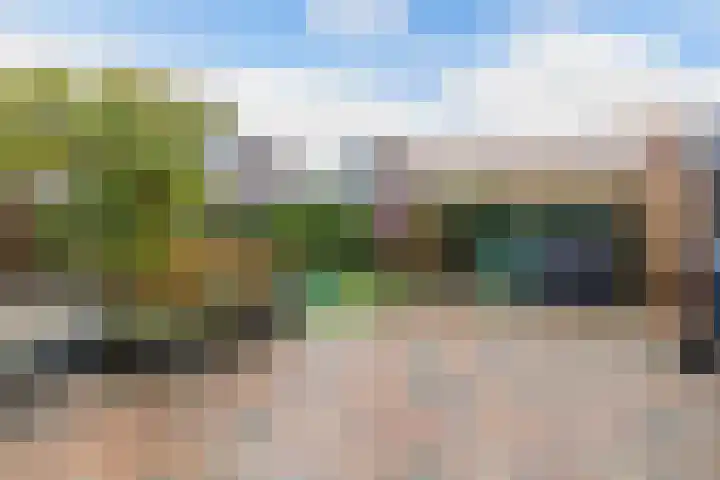 Koarstmoas 9 A Surhuisterveen thumbnail 44