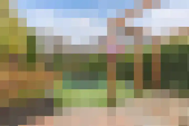 Koarstmoas 9 A Surhuisterveen thumbnail 45