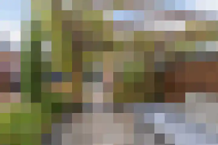 Koarstmoas 9 A Surhuisterveen thumbnail 48