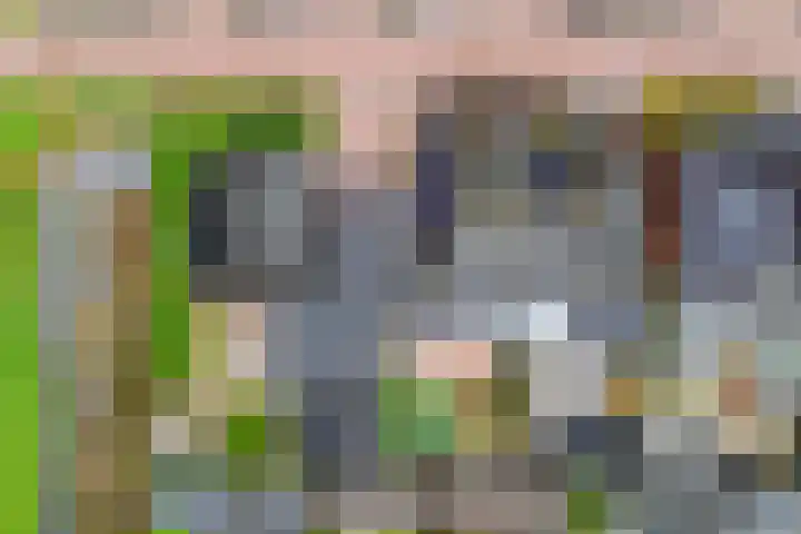 Koarstmoas 9 A Surhuisterveen thumbnail 49
